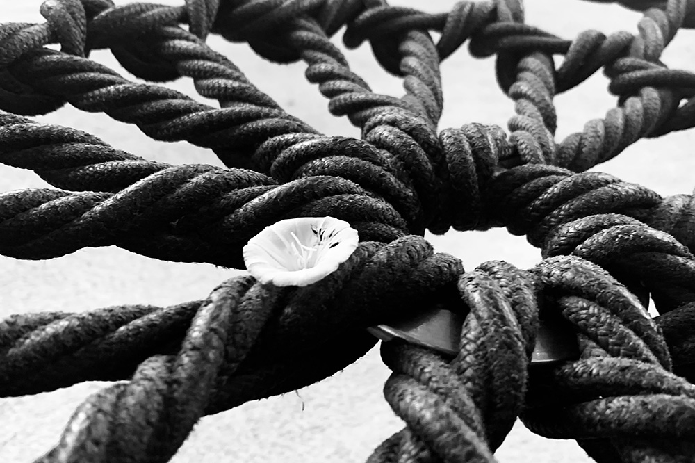 Creating Inclusive Learning Environments:&nbsp;Trauma-Informed Teaching